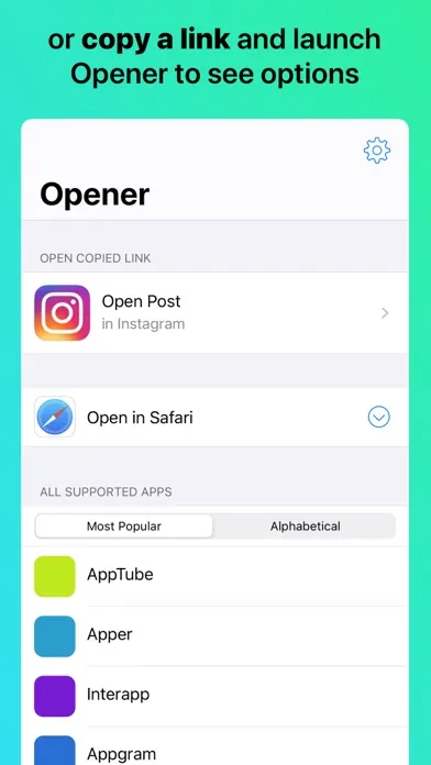Opener ‒ open links in apps سکرین شاٹس