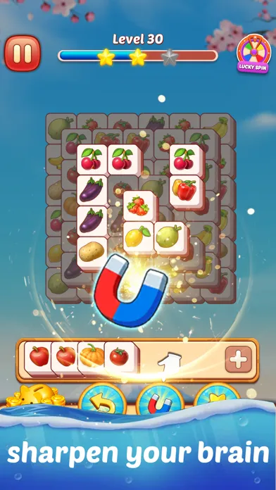 Tile Master Match Puzzle应用截图