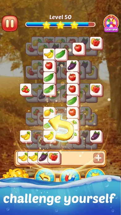 Tile Master Match Puzzle应用截图