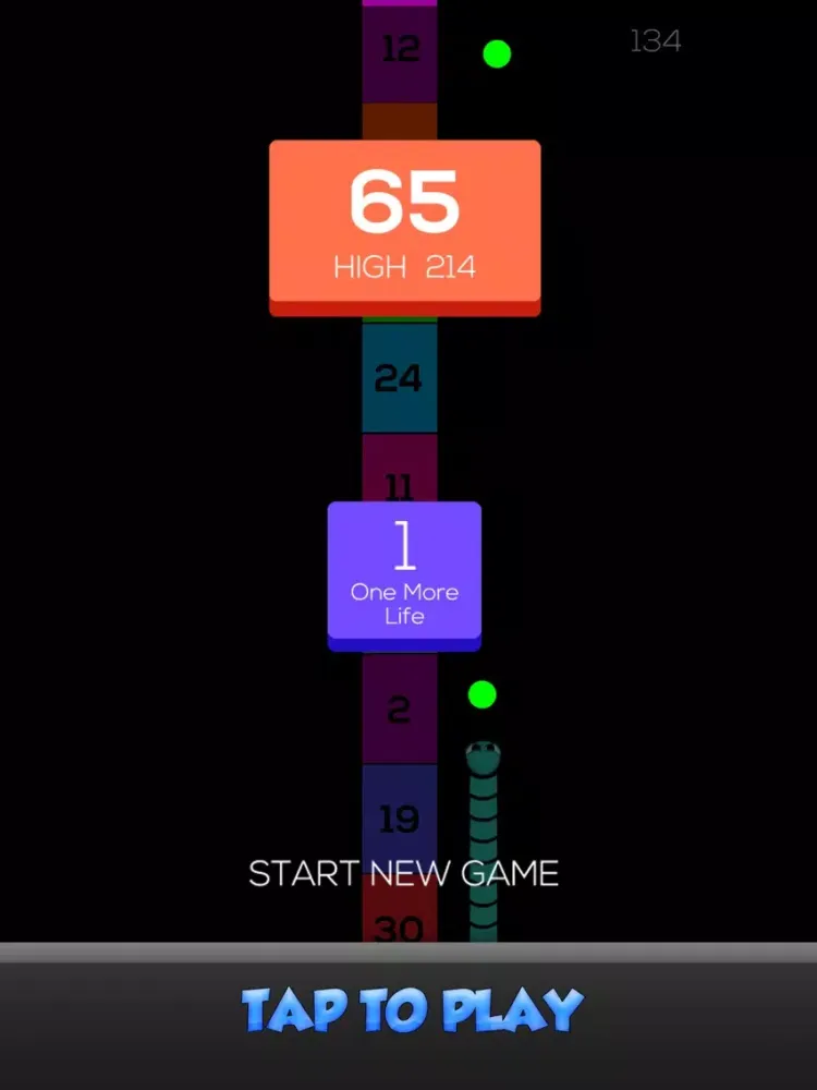 Snake vs Bricks Crash iPad 应用截图