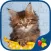 Cute Cats - Real Cat and Kitten Picture Jigsaw Puzzles Games for Kids