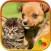 Cute Pets - Real Dogs and Cats Picture Puzzle Games for kids