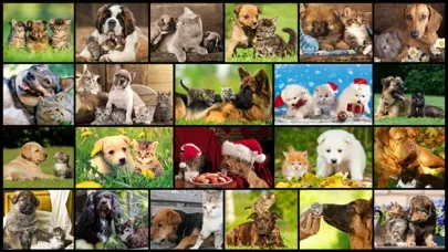 Ảnh chụp màn hình của Cute Pets - Real Dogs and Cats Picture Puzzle Games for kids