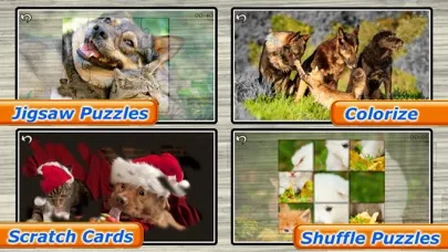 Ảnh chụp màn hình của Cute Pets - Real Dogs and Cats Picture Puzzle Games for kids