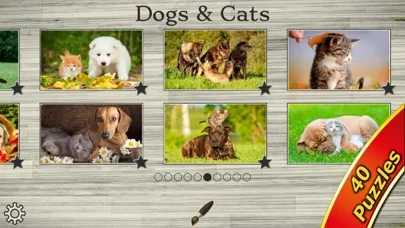 Ảnh chụp màn hình của Cute Pets - Real Dogs and Cats Picture Puzzle Games for kids