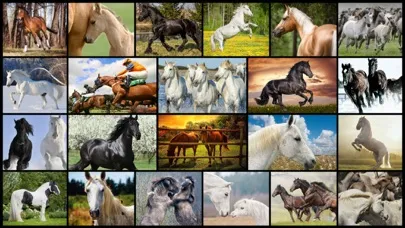 Tangkapan skrin Mighty Horses - Real Horse Picture Puzzle Games for kids