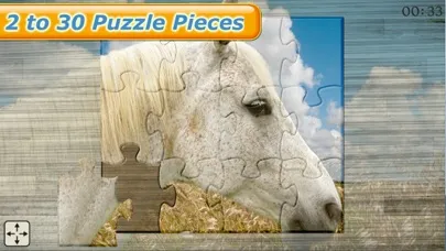Tangkapan skrin Mighty Horses - Real Horse Picture Puzzle Games for kids