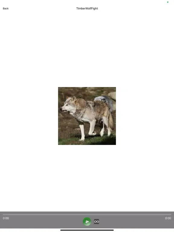 Timberwolf Sounds iPad  Screenshots