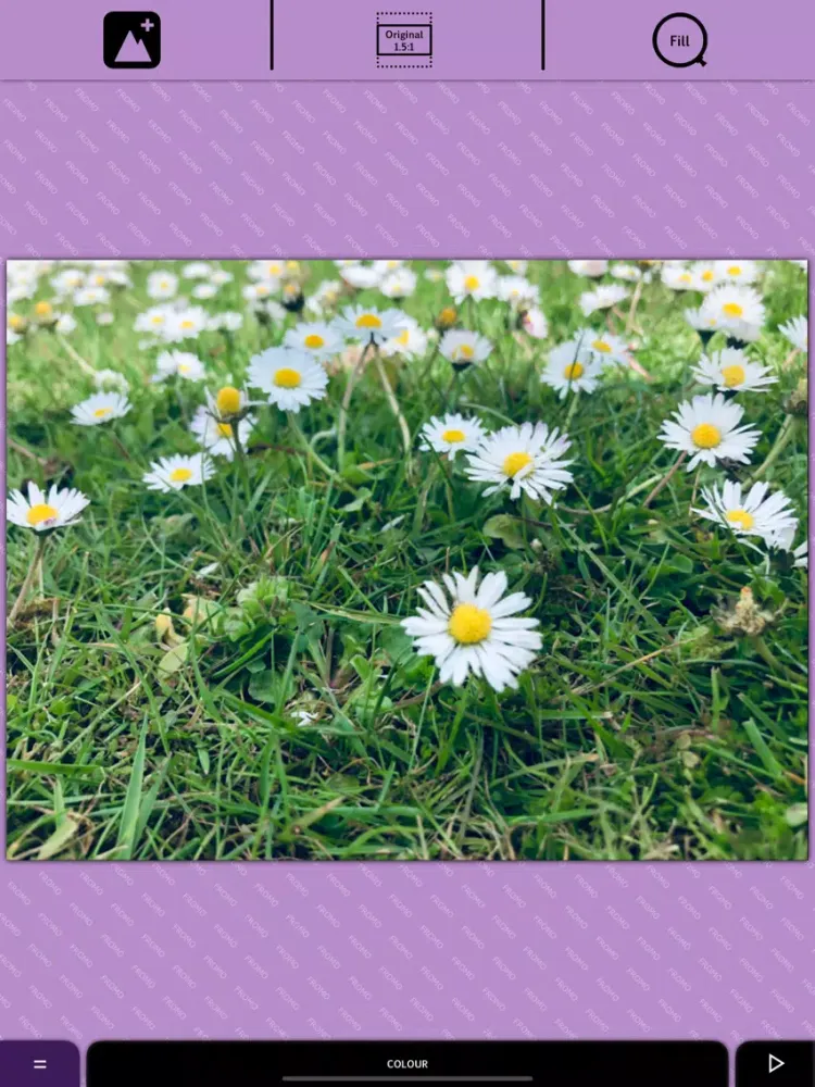 صور Imaage: Photo borders and text iPad 