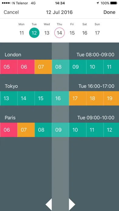 Meeting Planner by timeanddate 스크린샷