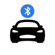 TSLA Keyfob - for Watch, Phone TSLA Keyfob - for Watch, Phone