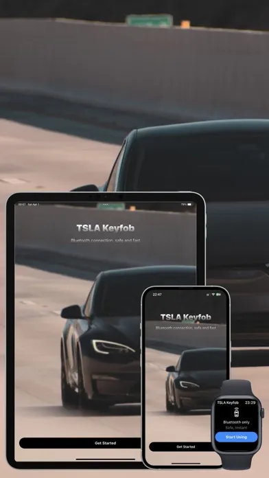 ภาพหน้าจอของ TSLA Keyfob - for Watch, Phone