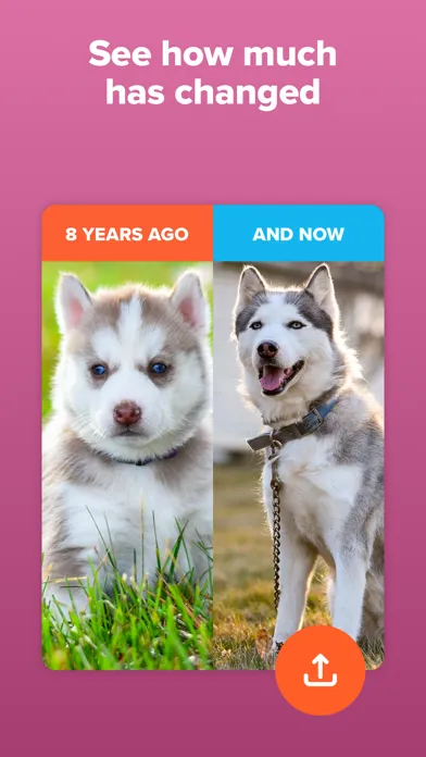 Скриншоты Timehop - Memories Then & Now