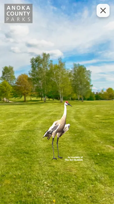 Скриншоты Tracks - Anoka County Parks