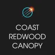 Coast Redwood Canopy