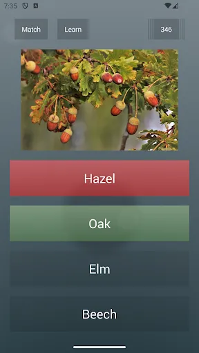 General Knowledge Quiz Screenshots