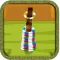 Super Ring Toss Action Puzzle Game