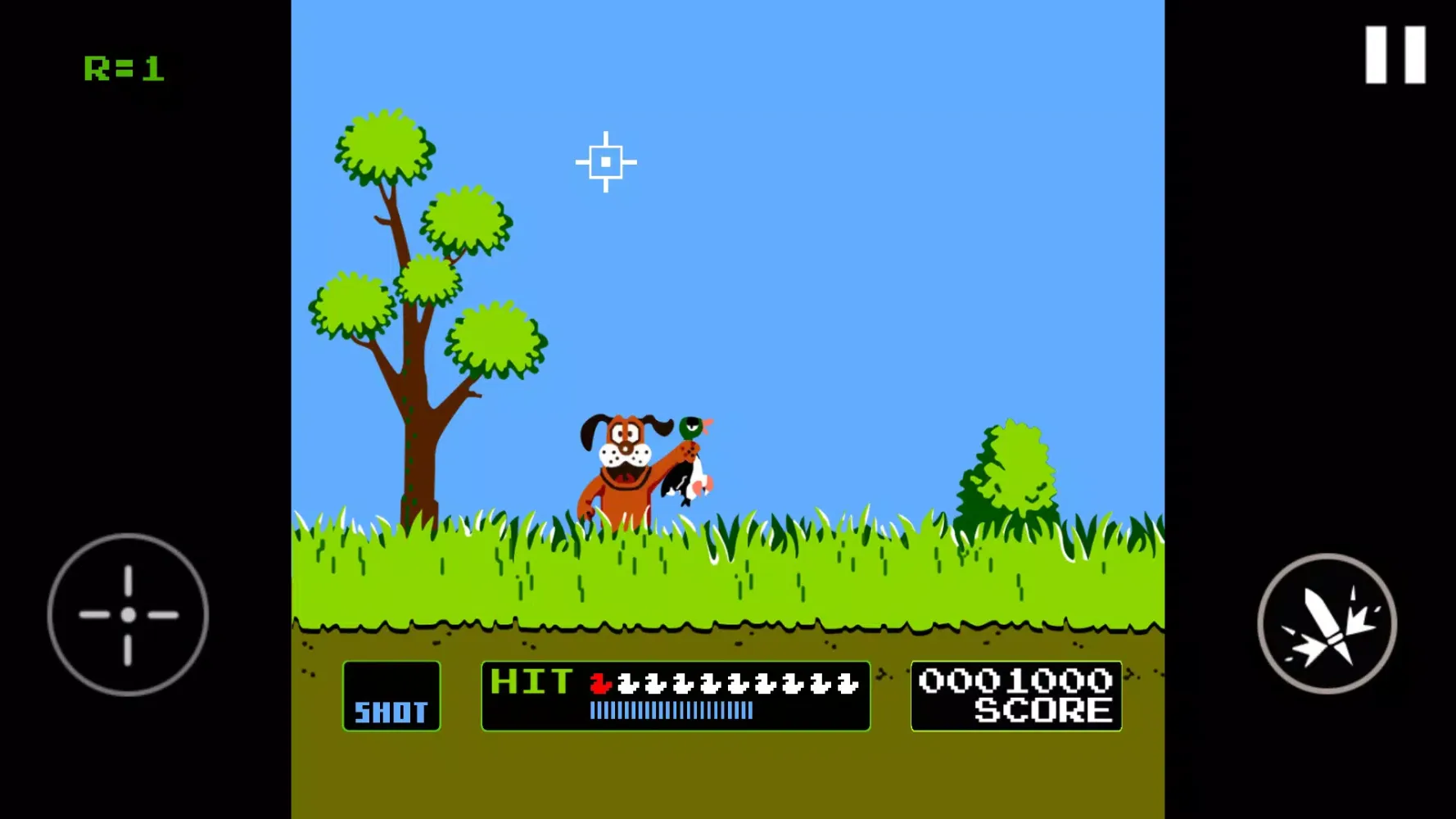 Duck Hunt Screenshots