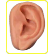 Tinnitus Perú
