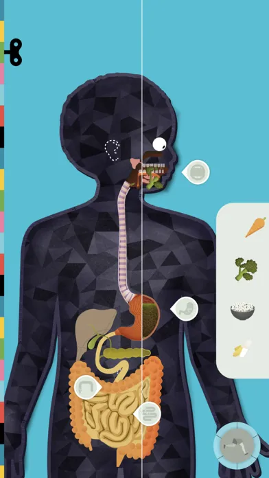 The Human Body by Tinybop 스크린샷
