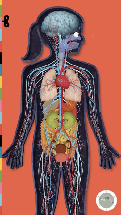 The Human Body by Tinybop 스크린샷