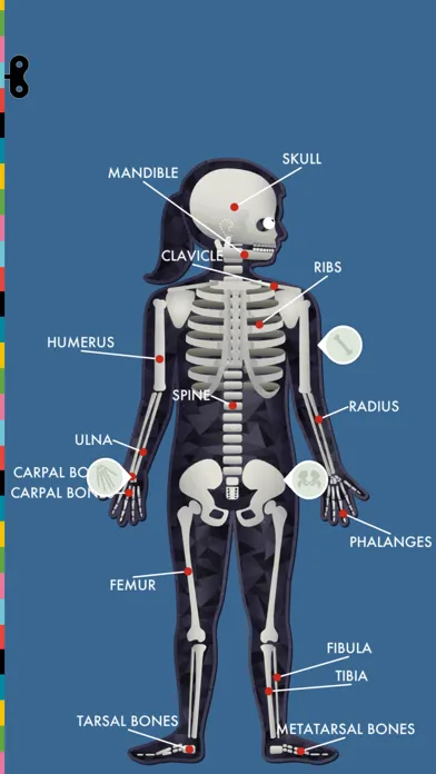 The Human Body by Tinybop 스크린샷