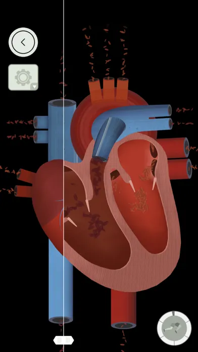 The Human Body by Tinybop 스크린샷