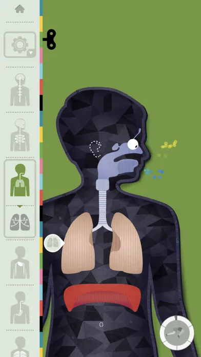 The Human Body by Tinybop 스크린샷