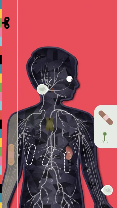 The Human Body by Tinybop 스크린샷