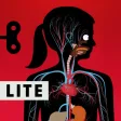 The Human Body Lite The Human Body Lite