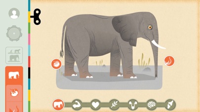 Mammals by Tinybop Ekran Görüntüleri