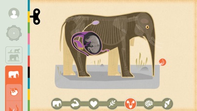 Mammals by Tinybop Ekran Görüntüleri
