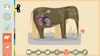 Mammals by Tinybop應用截圖