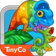 Tiny Zoo Friends Tiny Zoo Friends