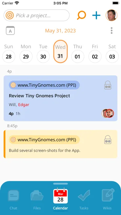 Tiny Gnomes স্ক্রিনশট
