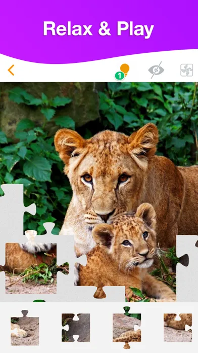 Jigsaw Puzzles Now স্ক্রিনশট