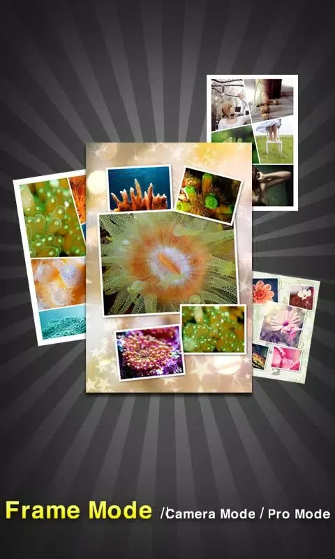 InstaPicFrame Screenshots