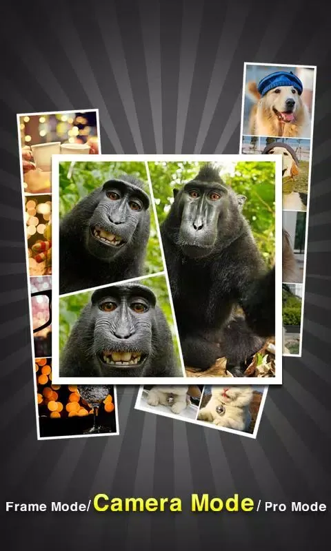 InstaPicFrame Screenshots