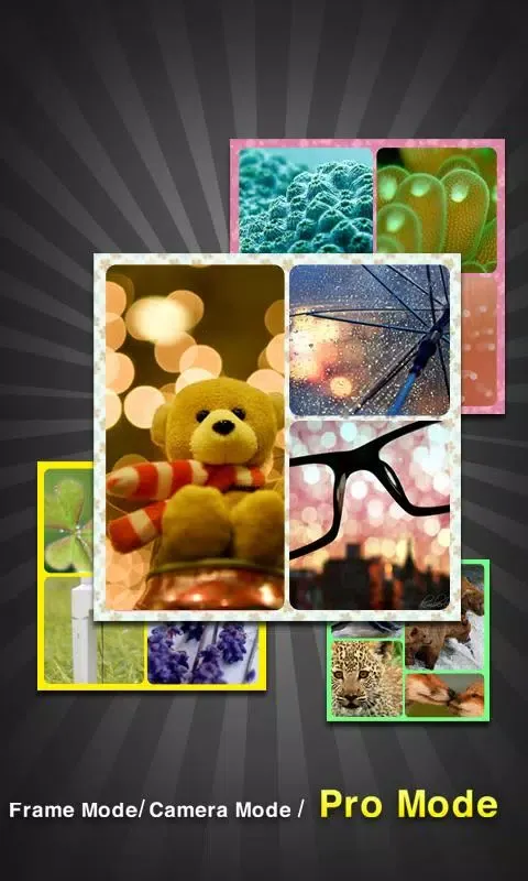 InstaPicFrame Screenshots