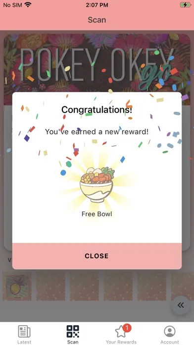 Pokey Okey スクリーンショット