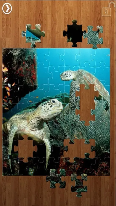 Sea life Jigsaw Puzzles -Titan應用截圖