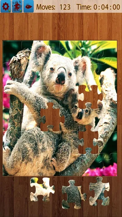 تصاویر Jigsaw Puzzle All In One