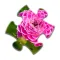 Flower Jigsaw Puzzles