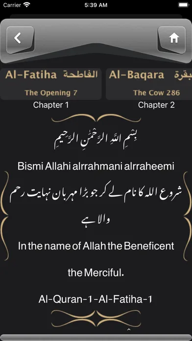 Tangkapan skrin Holy Quran Kareem Share Pro