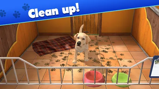 صور Pet World - My animal shelter