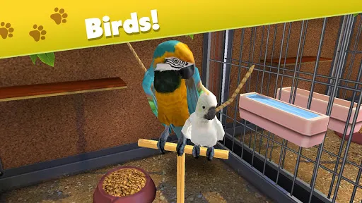 صور Pet World - My animal shelter