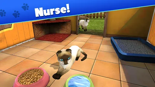 صور Pet World - My animal shelter