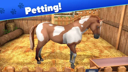 صور Pet World - My animal shelter