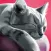 CatHotel - Play with Cute Cats