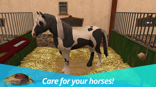 HorseWorld – My Riding Horse Screenshots